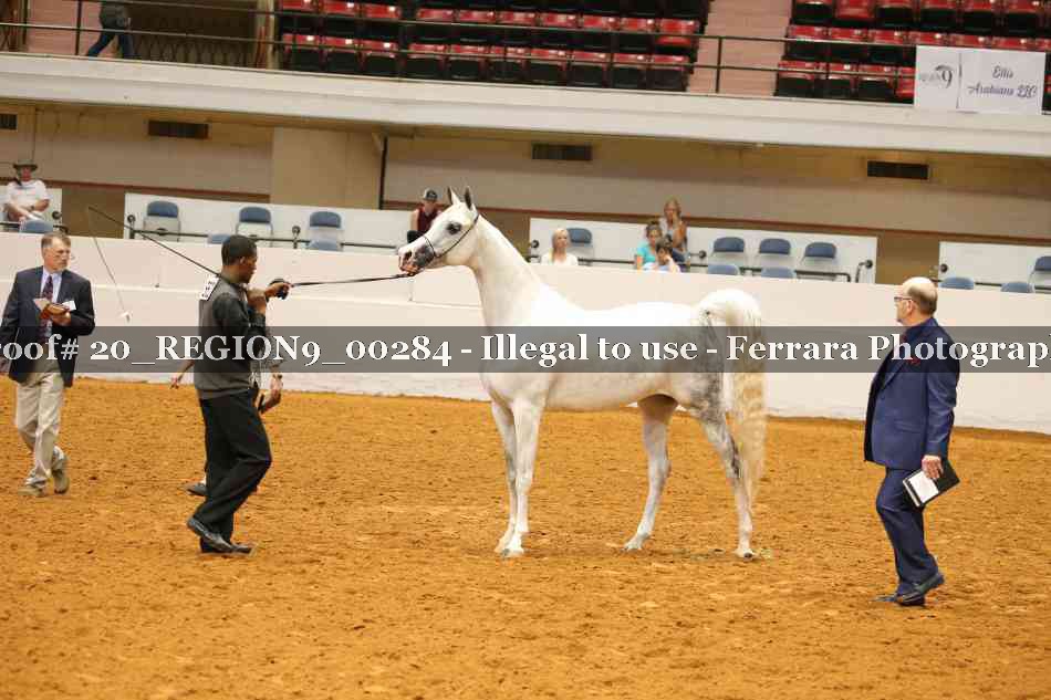 Proof 20_REGION9_00284