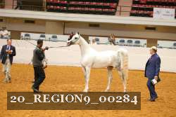 20_REGION9_00284 proof