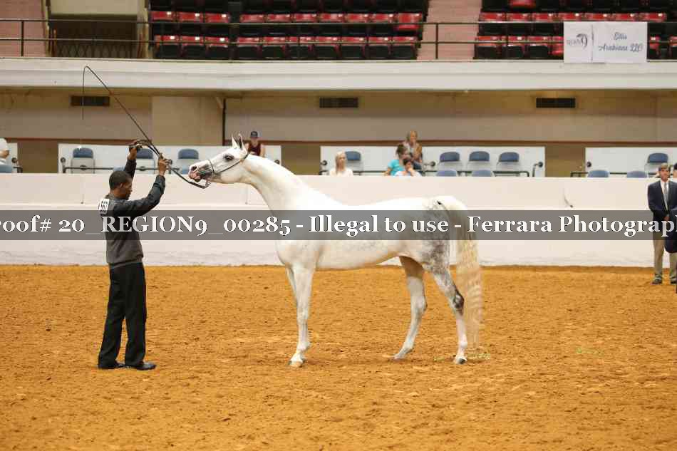 Proof 20_REGION9_00285