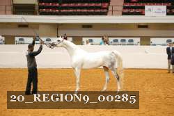 20_REGION9_00285 proof
