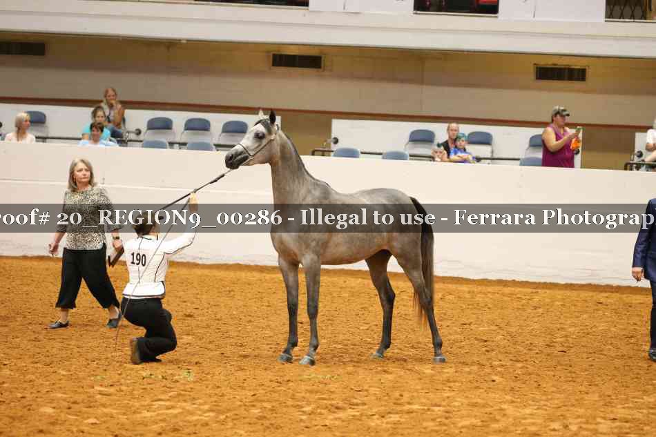 Proof 20_REGION9_00286