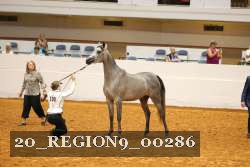20_REGION9_00286 proof
