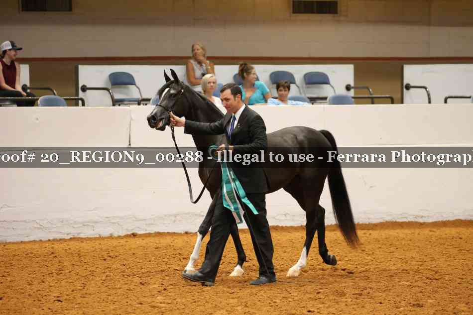 Proof 20_REGION9_00288