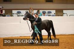 20_REGION9_00288 proof