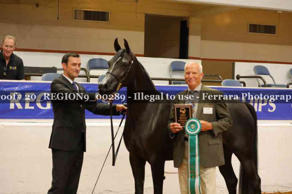 Proof 20_REGION9_00289