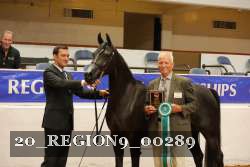 20_REGION9_00289 proof