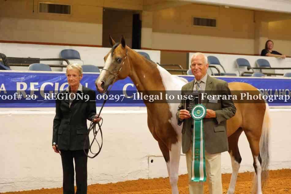 Proof 20_REGION9_00297