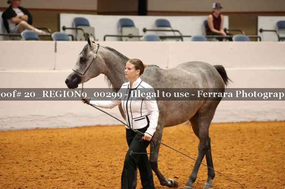 Proof 20_REGION9_00299