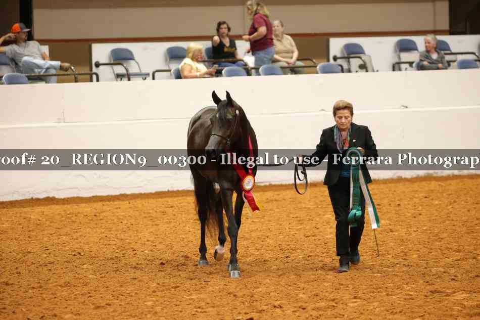 Proof 20_REGION9_00300