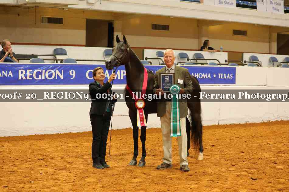 Proof 20_REGION9_00301