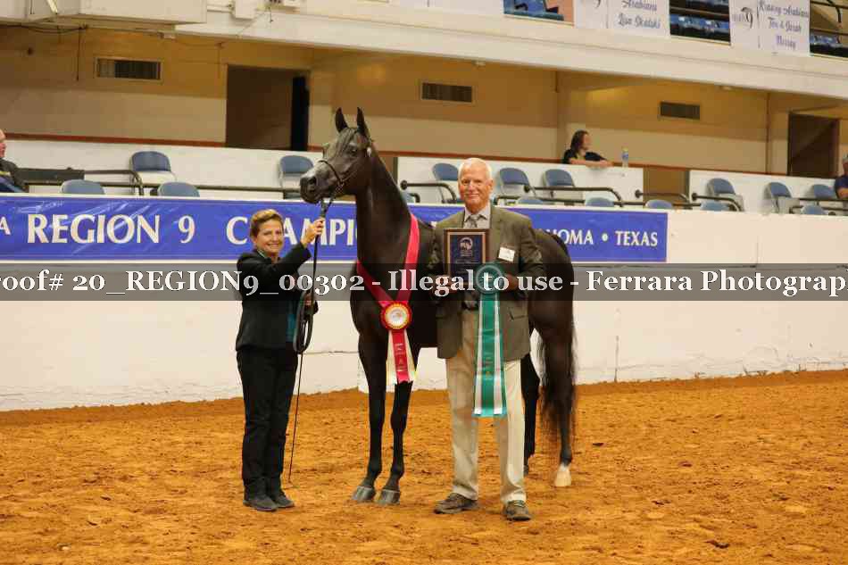 Proof 20_REGION9_00302