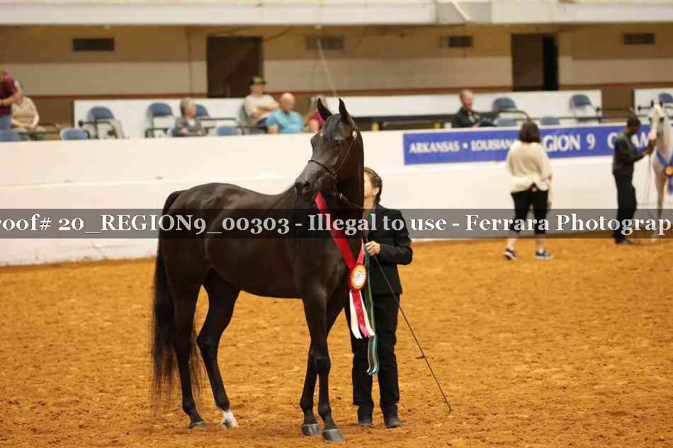 Proof 20_REGION9_00303