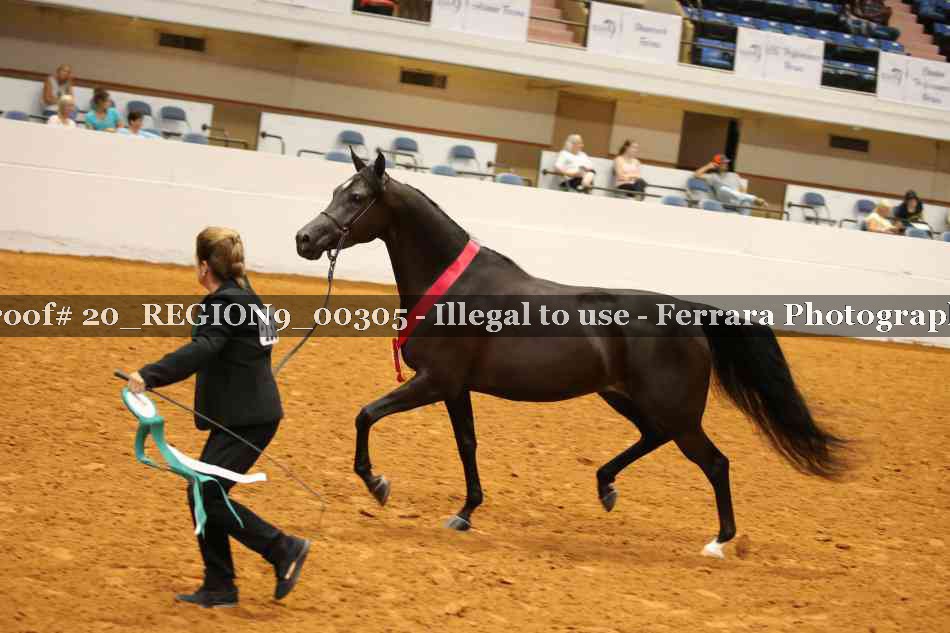 Proof 20_REGION9_00305