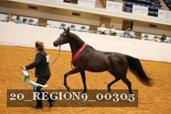 20_REGION9_00305 proof