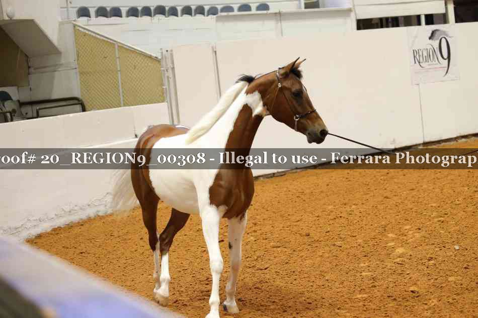 Proof 20_REGION9_00308