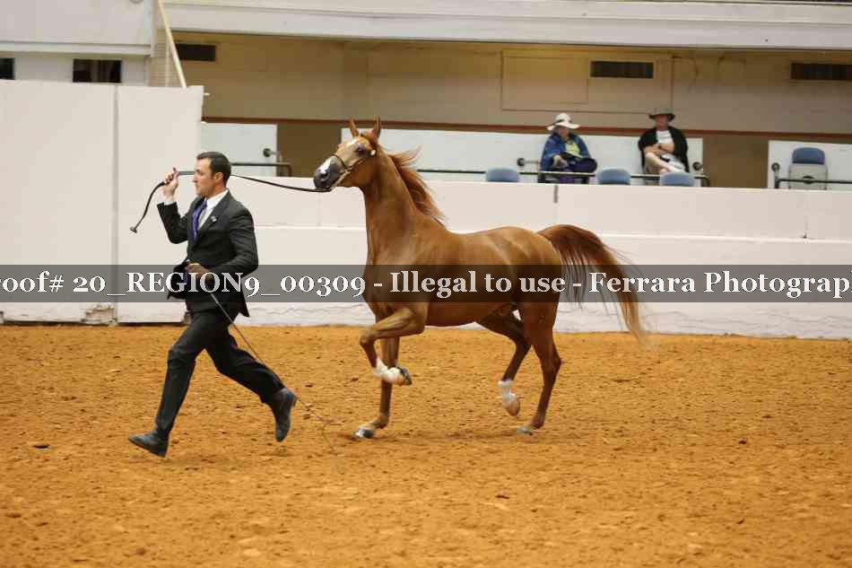Proof 20_REGION9_00309
