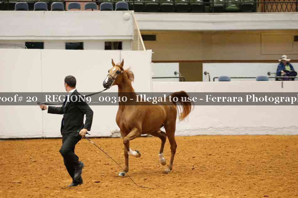 Proof 20_REGION9_00310