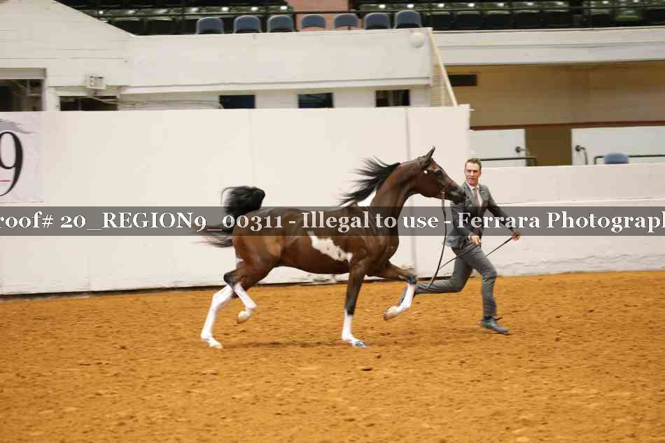 Proof 20_REGION9_00311