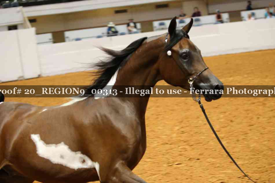 Proof 20_REGION9_00313