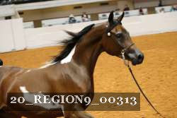 20_REGION9_00313 proof