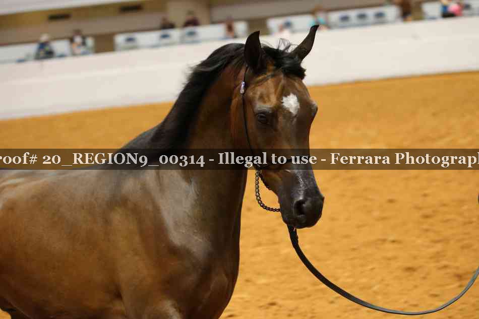 Proof 20_REGION9_00314
