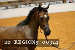 20_REGION9_00314 proof