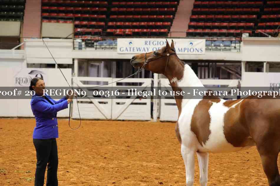Proof 20_REGION9_00316