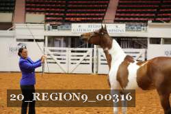 20_REGION9_00316 proof