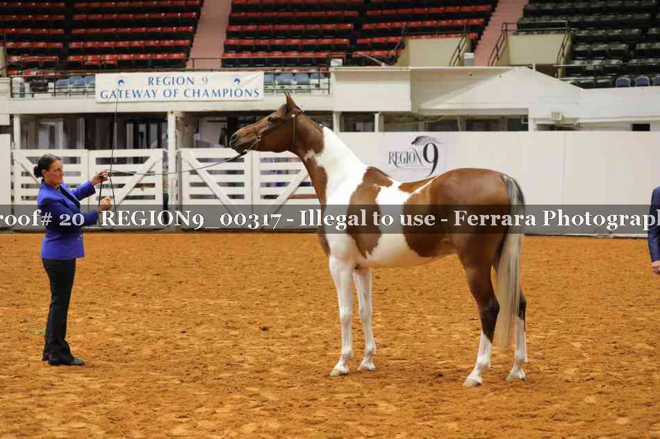 Proof 20_REGION9_00317