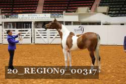 20_REGION9_00317 proof