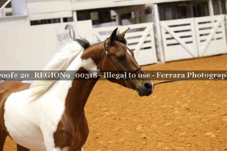 Proof 20_REGION9_00318