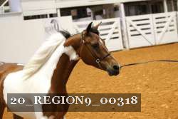 20_REGION9_00318 proof