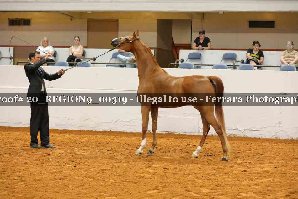 Proof 20_REGION9_00319