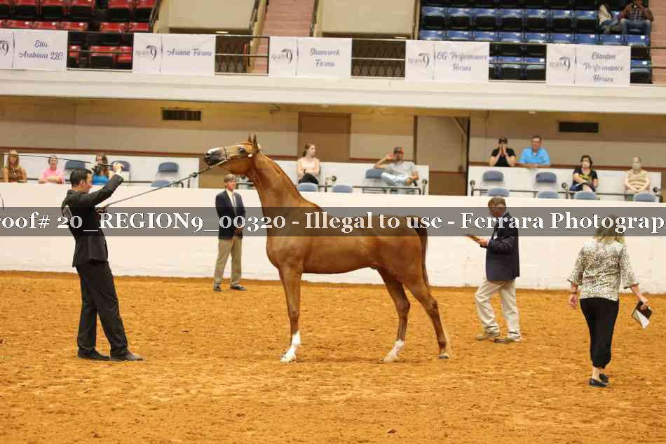 Proof 20_REGION9_00320