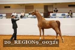 20_REGION9_00321 proof