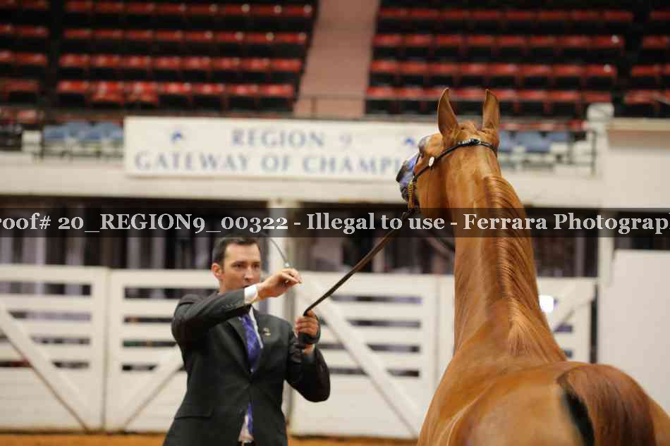 Proof 20_REGION9_00322