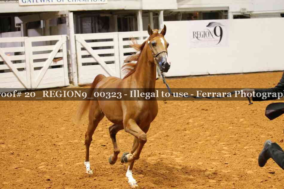 Proof 20_REGION9_00323