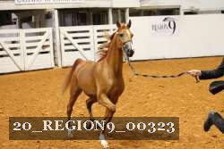20_REGION9_00323 proof