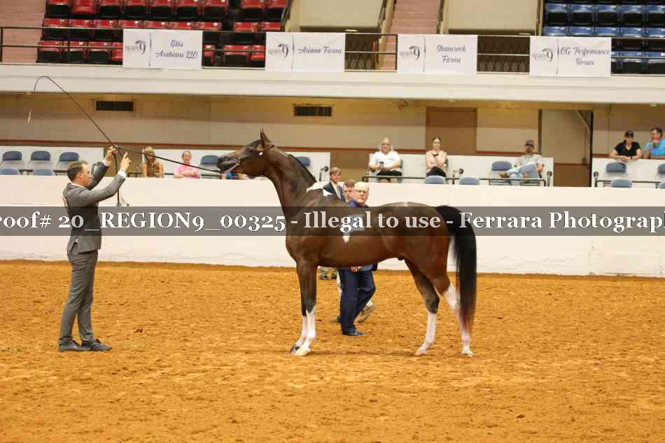 Proof 20_REGION9_00325
