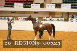 20_REGION9_00325 proof