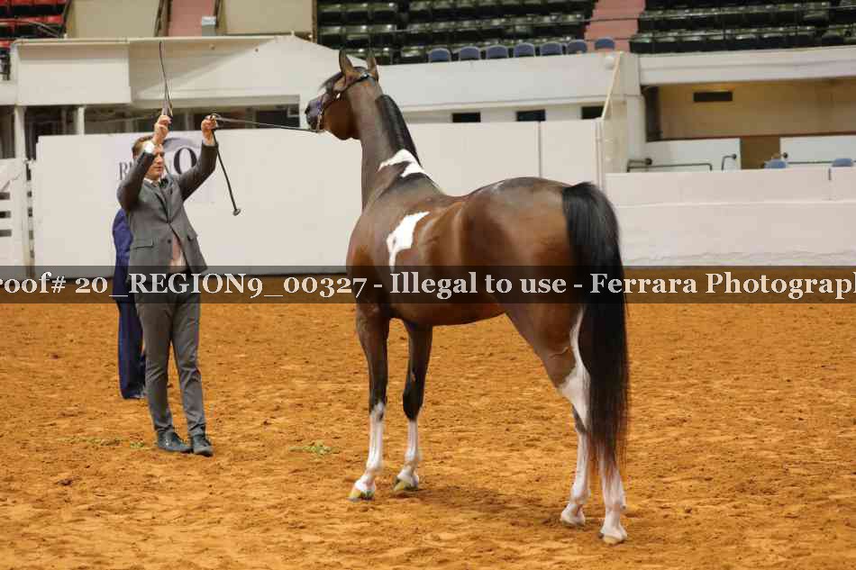 Proof 20_REGION9_00327