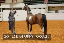 20_REGION9_00327 proof