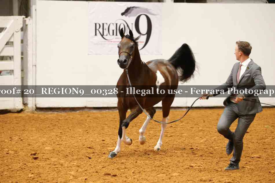 Proof 20_REGION9_00328