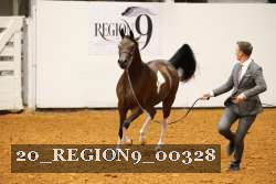 20_REGION9_00328 proof