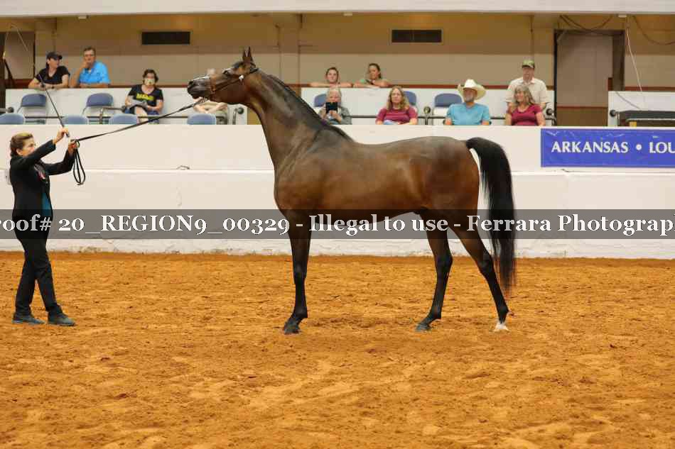 Proof 20_REGION9_00329