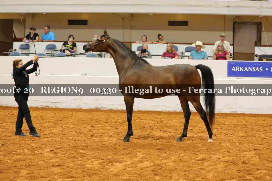 Proof 20_REGION9_00330