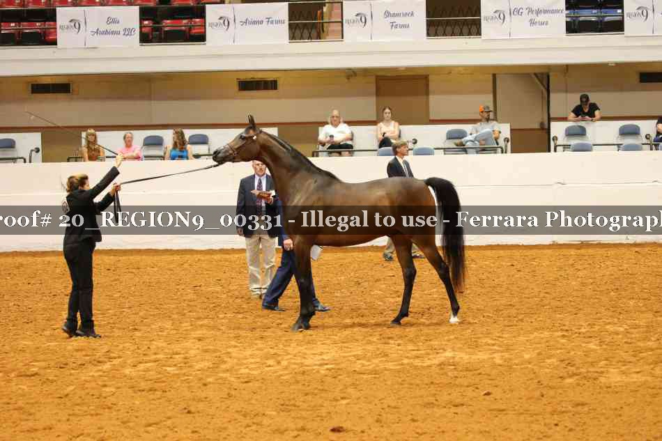 Proof 20_REGION9_00331