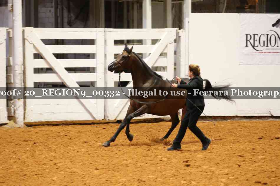 Proof 20_REGION9_00332