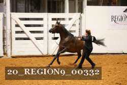 20_REGION9_00332 proof