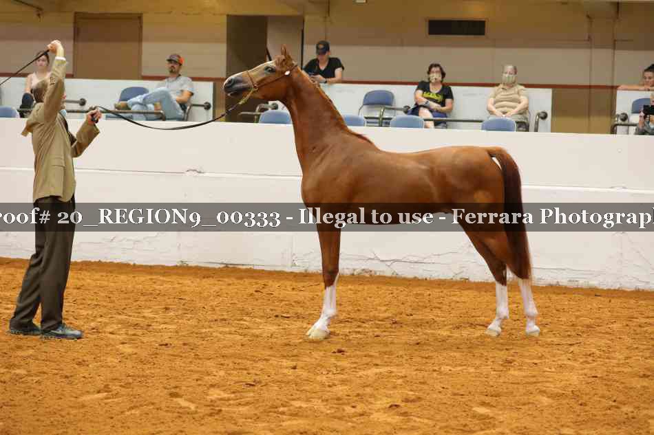 Proof 20_REGION9_00333
